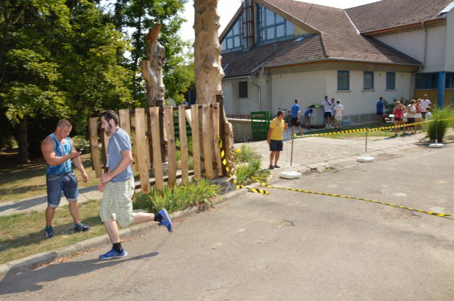 Falunap 2017